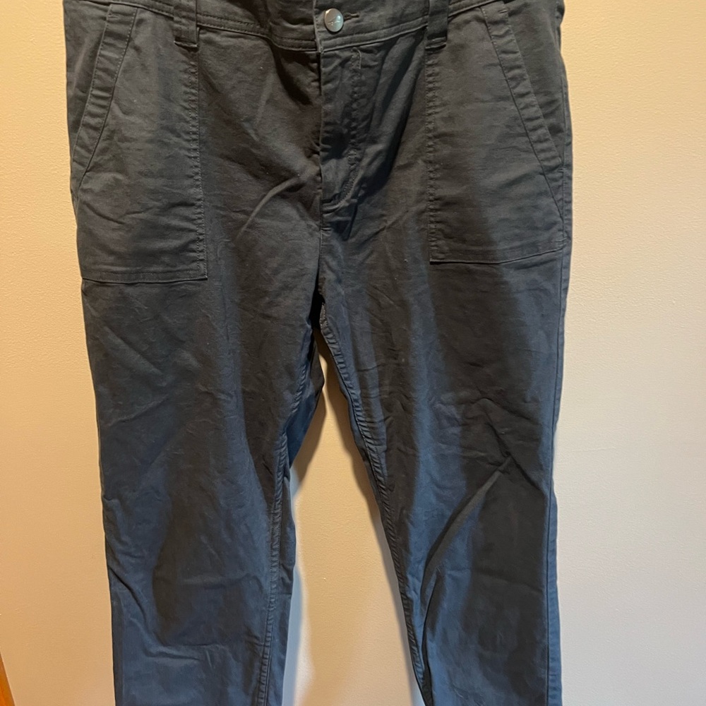 Toad & Co blue gray Pants